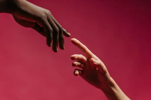 كازينو وايلد فيغاس الدعم